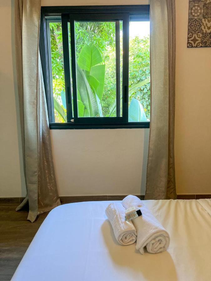 L'Eden - Villa Cosy A Sainte-Clotilde Dış mekan fotoğraf